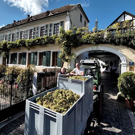Unterkunft Im Weingut Fitz-Ritter Bad Duerkheim Exterior photo