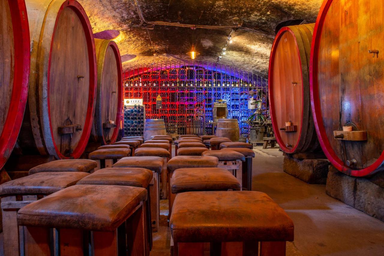 Im Weingut Fitz-ritter Apartment *