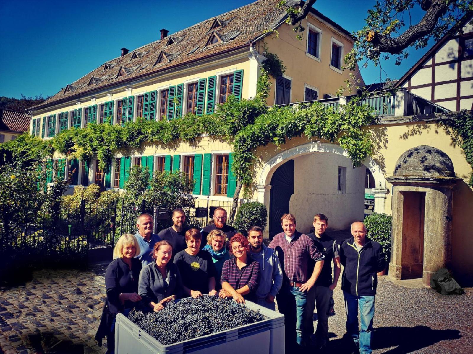 Im Weingut Fitz-ritter Apartment