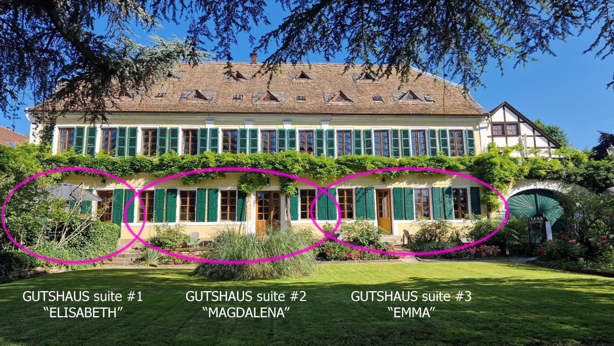 Im Weingut Fitz-ritter Apartment