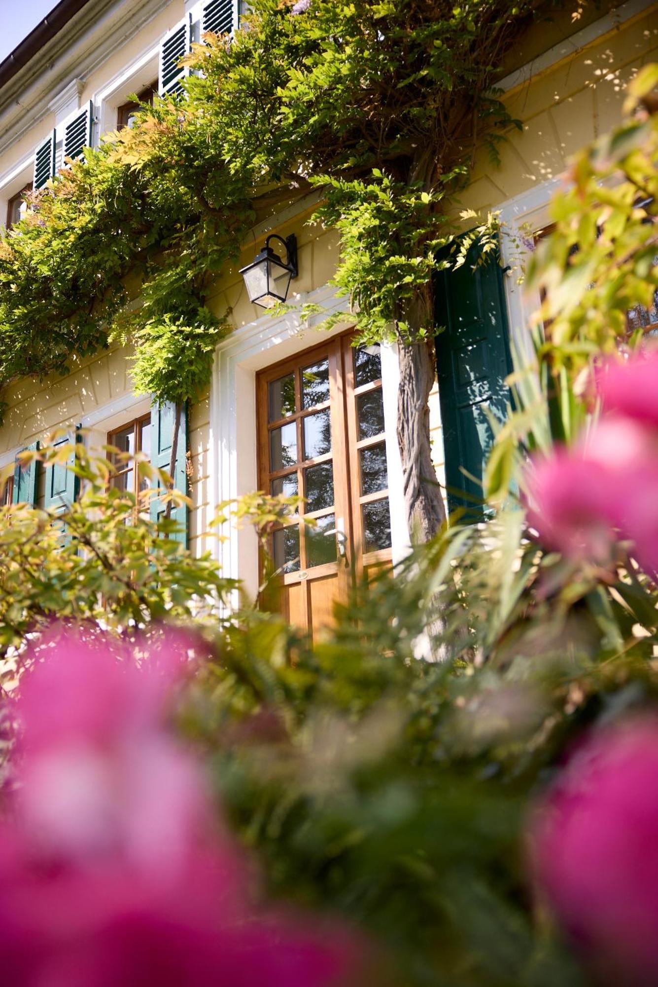 Im Weingut Fitz-ritter Apartment