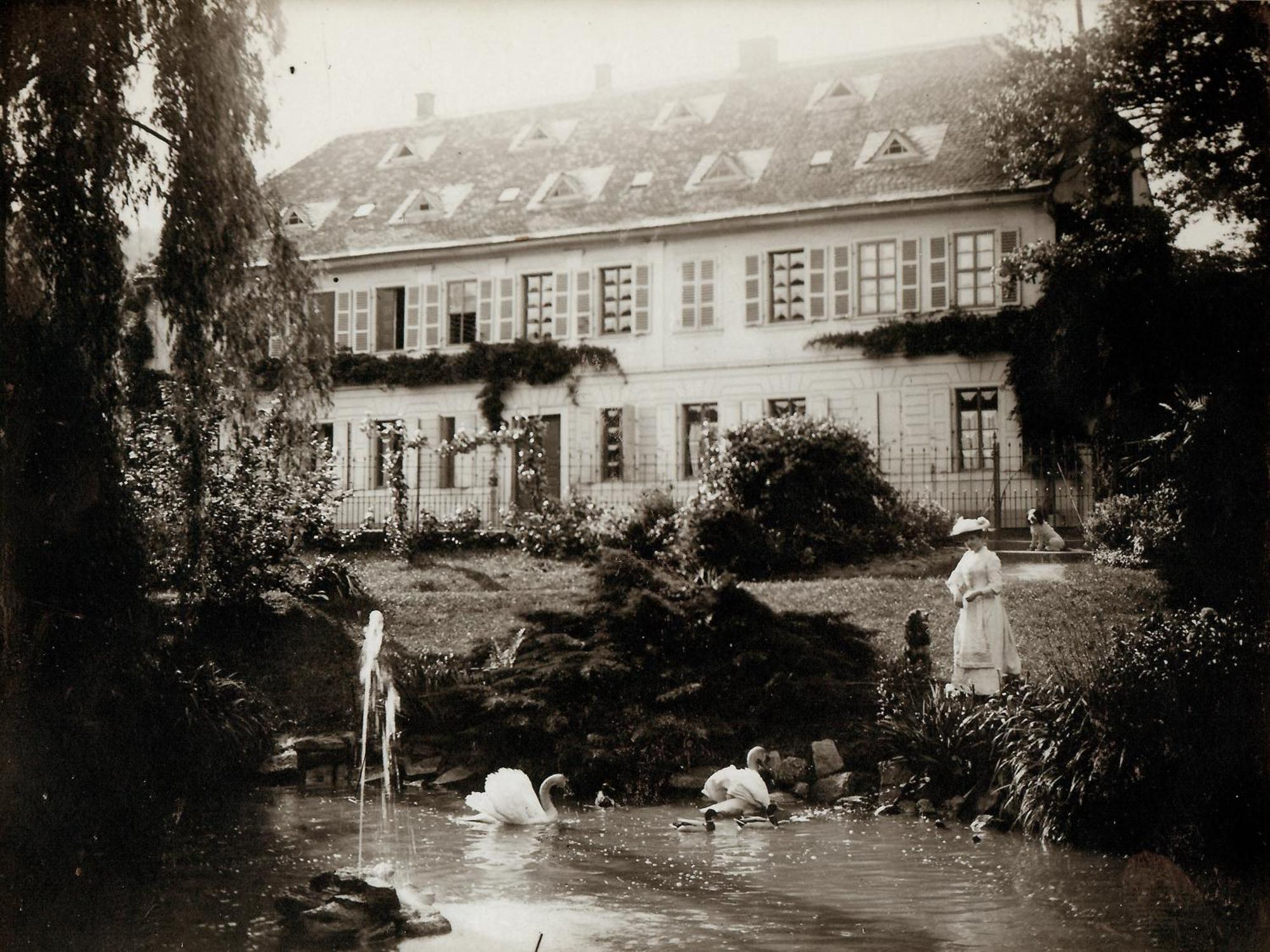 Im Weingut Fitz-ritter Apartment Bad Duerkheim